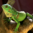 icon Lizard Jigsaw Puzzles 1.0