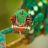 icon Chameleon Jigsaw Puzzles 1.0