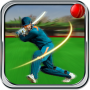 icon Cricket T20 2018