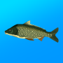 icon True Fishing. Simulator for Samsung Galaxy Core Lite(SM-G3586V)