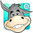 icon Donkey Quiz 3.34