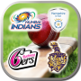 icon Logo Cricket Quiz