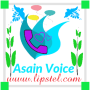 icon newasiannewvoice