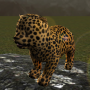 icon Real Cheetah Cub Simulator