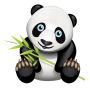 icon pandacel