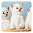 icon Kittens Live Wallpaper 3.1