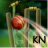 icon Cricket Launcher 1.2
