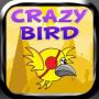 icon Crazy Bird