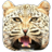 icon Real Cheetah Simulator 1.6