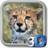 icon Real Cheetah Cub Simulator 1.4