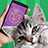 icon Cat Phrasebook Translator 1.1