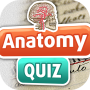 icon Anatomy Quiz